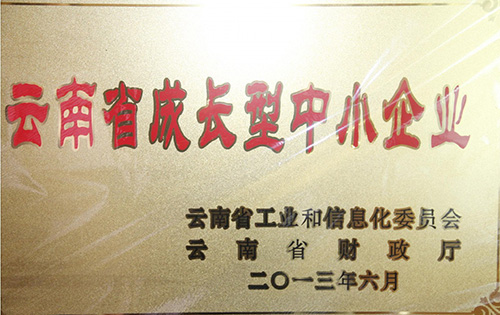 公司榮譽